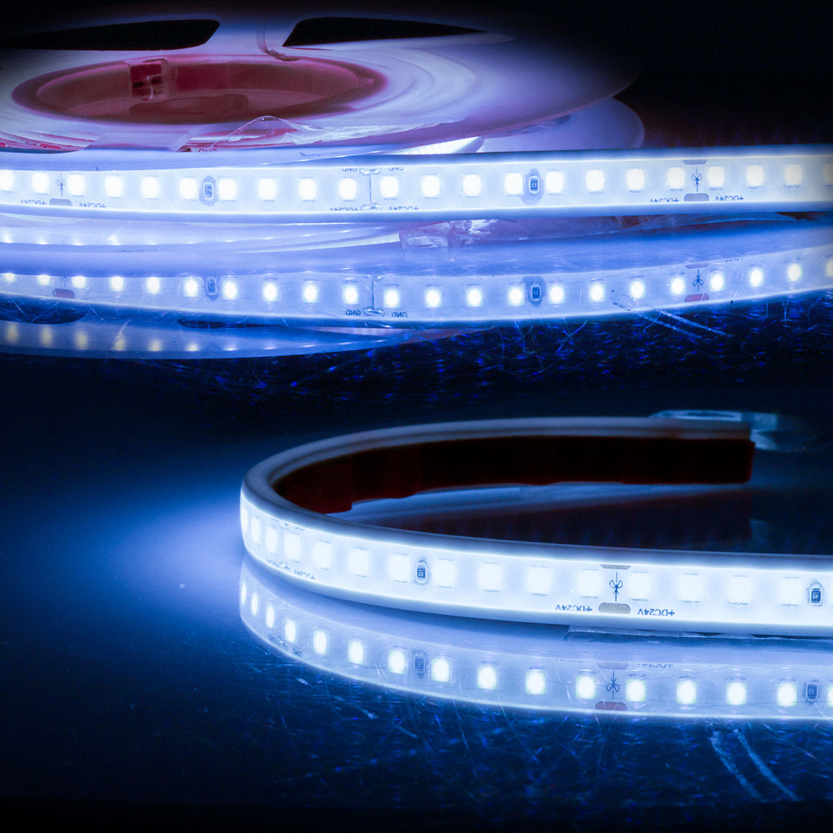 LED AQUA960 PU linear flex ribbon, 24V DC, 12W, IP68, 6000K, 135 lm/W, 5m roll, 160 LED/m