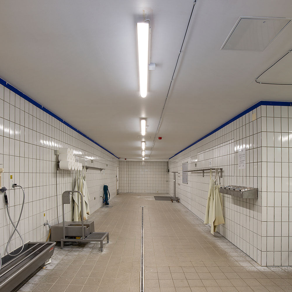 DOTLUX LED-Feuchtraumleuchte MISTRAL IP66 1540mm max.59W 4000K gefrostet