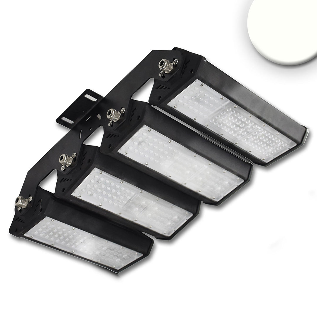 LED floodlight/high bay light LN 4x 50W, 30x70°, IK10, IP65, 1-10V dimmable, neutral white