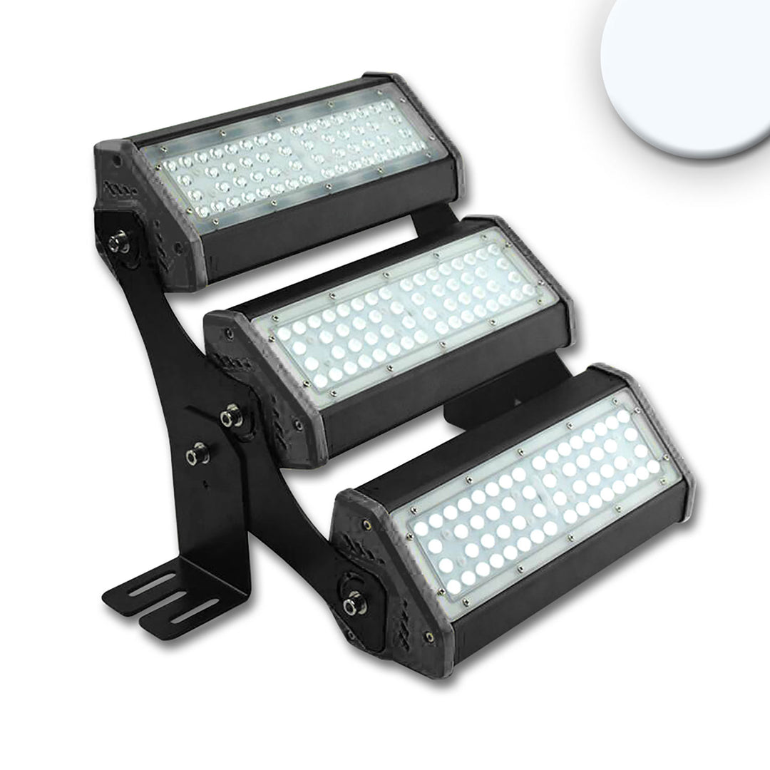 LED floodlight/high bay light LN 3x 50W, 30x70°, IK10, IP65, 1-10V dimmable, cool white