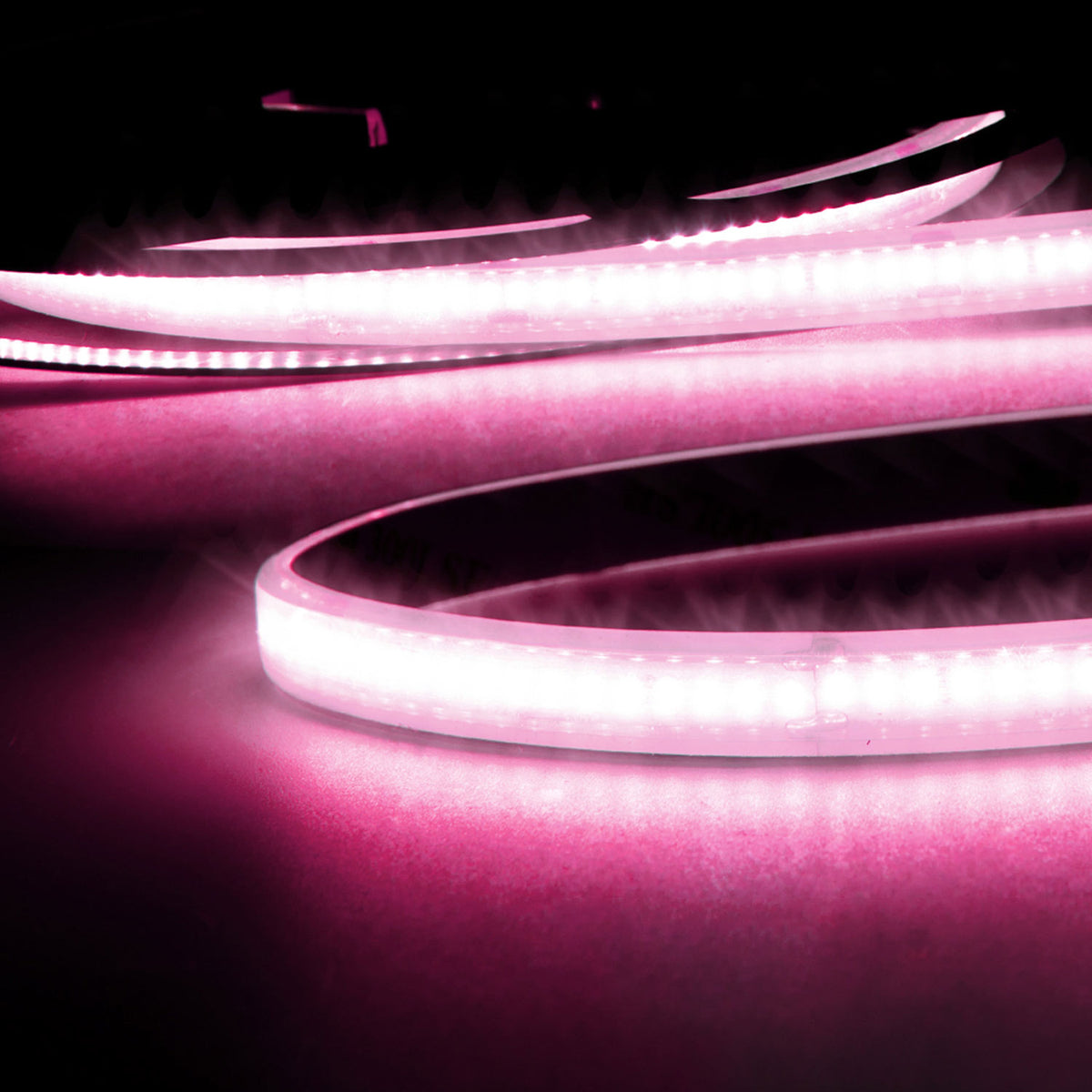 LED AQUA CRI9P Linear 48V flex ribbon, 8W, IP68, pink, 5m roll, 240 LED/m