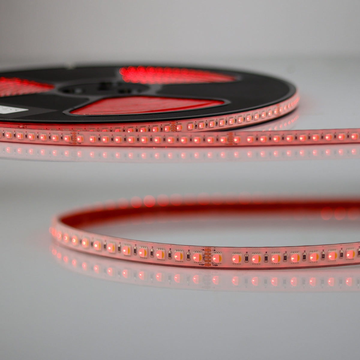 LED AQUA RGB+WW flex ribbon, 48V DC, 19W, IP68, 20m roll, 96 LED/m