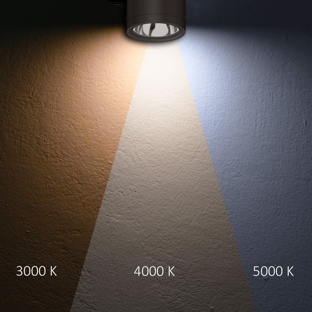 LED surface-mounted ceiling spotlight IP65, black, 10W, ColorSwitch 3000|4000|5000K, dimmable