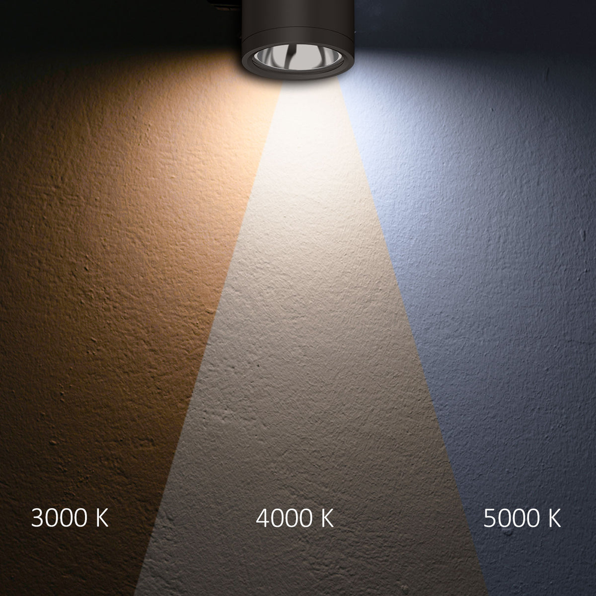 LED surface-mounted ceiling spotlight IP65, black, 10W, ColorSwitch 3000|4000|5000K, dimmable