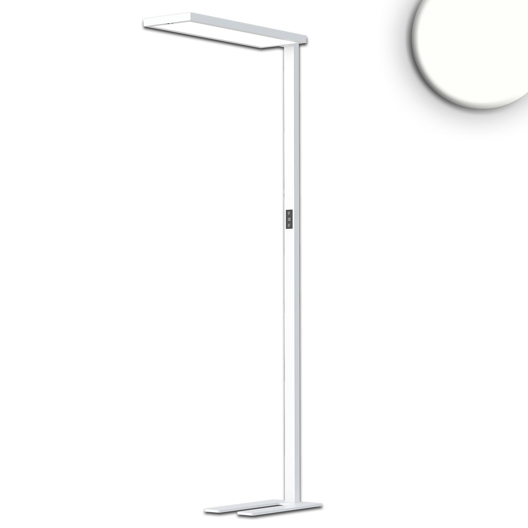 LED Office Pro Floor Lamp Up&amp;Down, 80W+20W, White, UGR<19, neutral white, Touch dimming