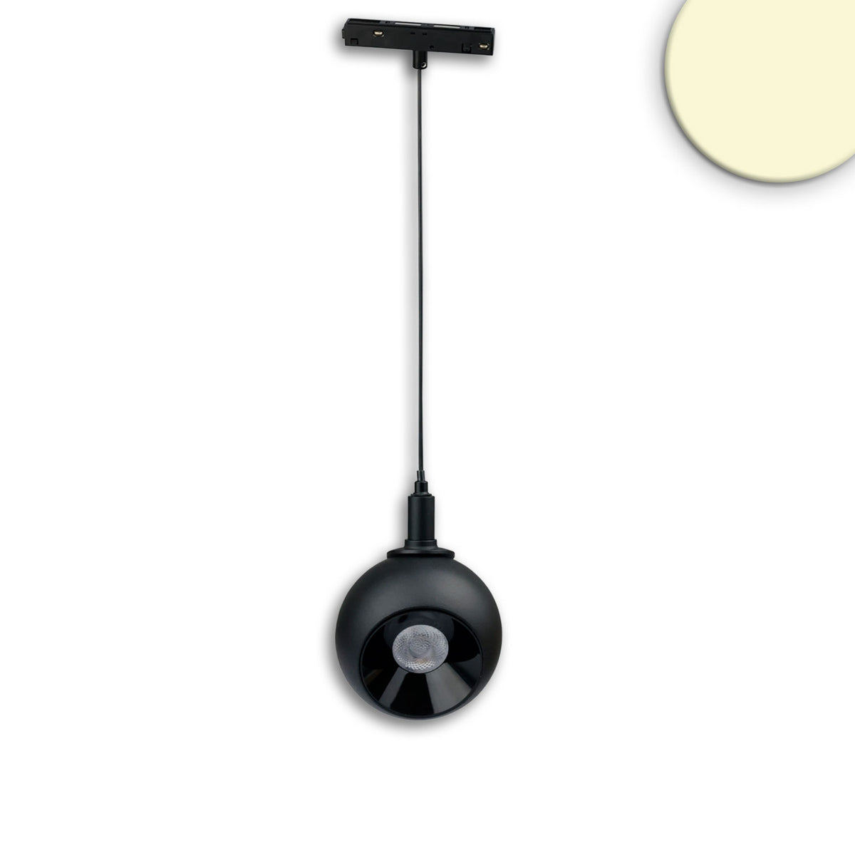 Track48 Hängeleuchte Ball Fokus schwarz, 12W, 60°, 48V DC, 3000K, CRI90, DALI dimmbar