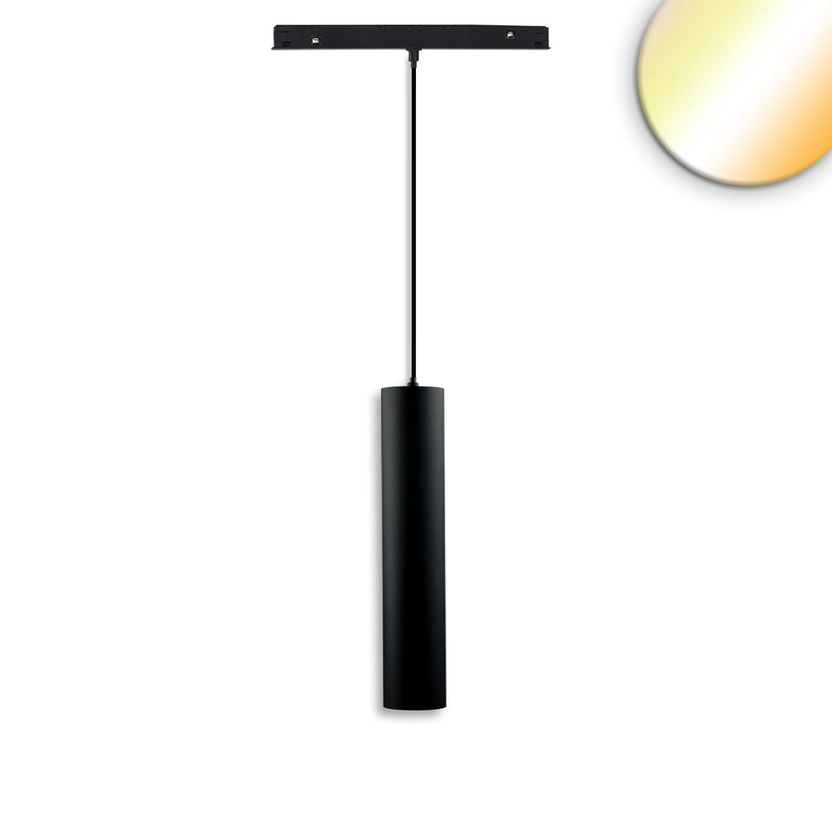 Track48 hanging light Pipe black, 12W, 36°, UGR<19, 48V DC, 1800-4000K, CRI90, DALI DT8