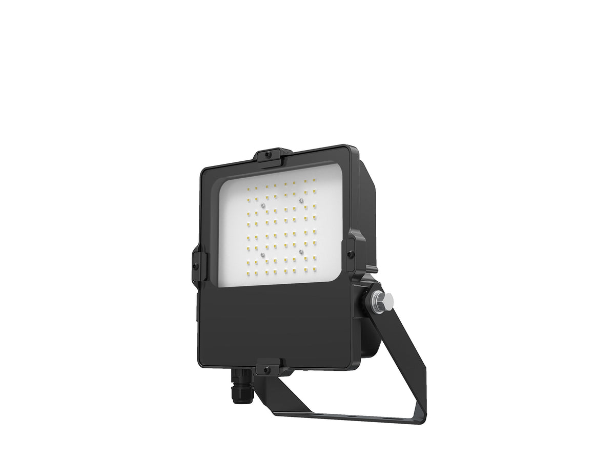 DOTLUX LED floodlight LENSplus 50W 3000K 30*60° beam angle