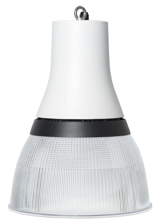 DOTLUX LED-Pendelleuchte CAPPUCCINO 80W DALI COLORselect